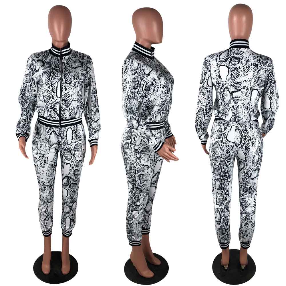 plus size snakeskin print casual sport 2 piece women set