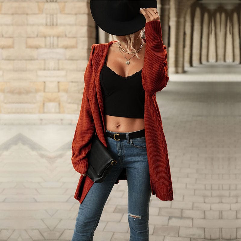 Pure Color Hoodie Hoodie With Thicken Polar Fleece Lining Sweater Solid Colors Hood Knit Sweater