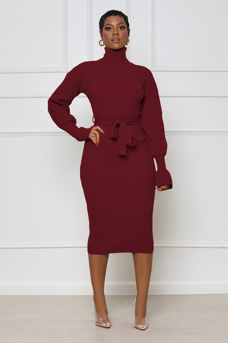 S / Burgundy Trendy Women Clothes Turtleneck Knit Tie Waist Midi Dresses