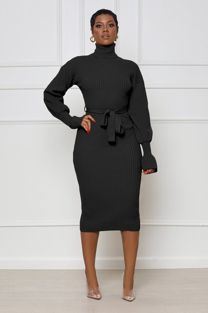 Trendy Women Clothes Turtleneck Knit Tie Waist Midi Dresses
