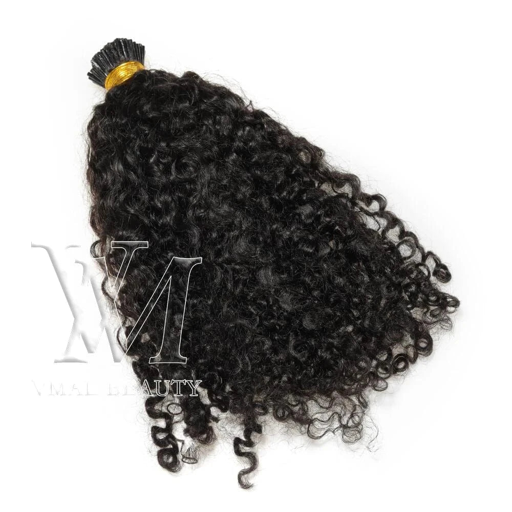 VMAE Raw Virgin Vietnamese Remy Cuticle Microlink I Tips 4C Afro Kinky Curly Hair Extensions 100% Natural I Tip Hair Extension