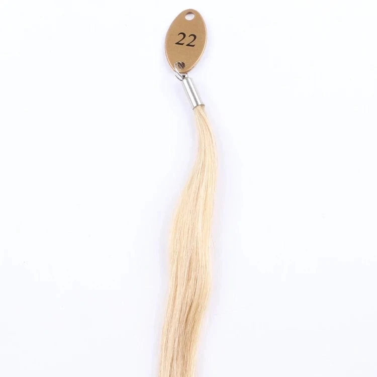 Xuchang Hair 22 inches 100 g/piece double drawn multi colors European hair pony tail clip on with 100% Human Hair Extensions
