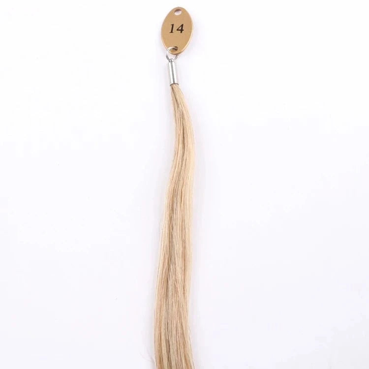 Xuchang Hair 22 inches 100 g/piece double drawn multi colors European hair pony tail clip on with 100% Human Hair Extensions