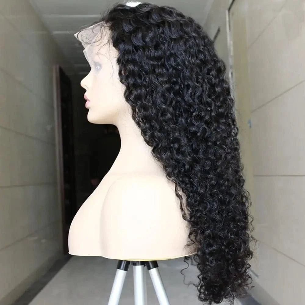 150% Density Curly Human Hair Wig 360 Front Lace Wig 100% Human Hair Pre Pluked Brazilian Remy Human Hair