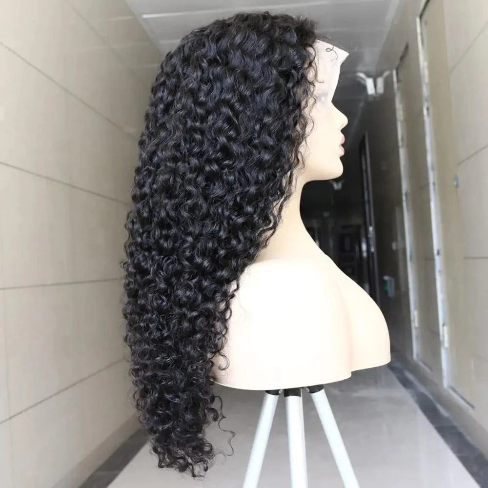 150% Density Curly Human Hair Wig 360 Front Lace Wig 100% Human Hair Pre Pluked Brazilian Remy Human Hair