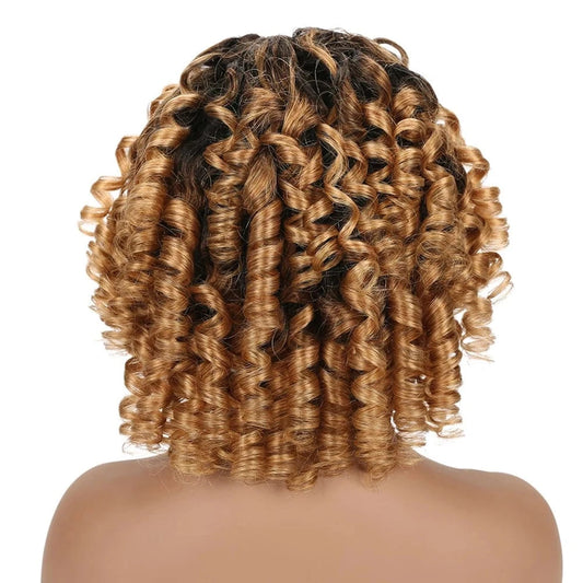1B/27 Ombre Color funmi bouncy curls virgin hair wigs  for black women