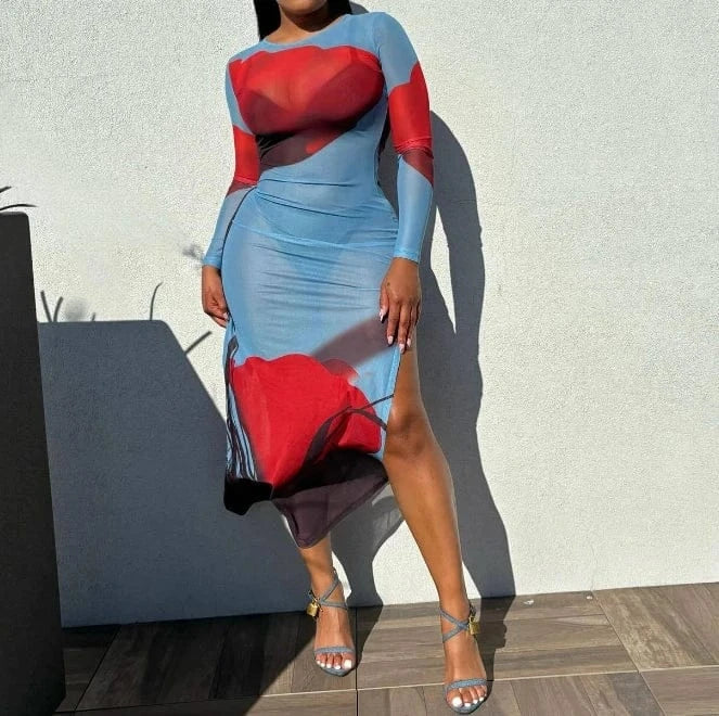 2024 New Arrivals Printed Mesh Bodycon Dress Spring Women's Clothing Sexy Split Long Dress For Ladies