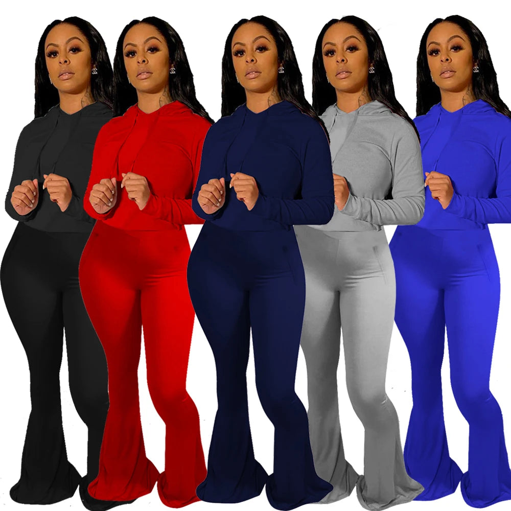 Regular Fit Hooded Wide Leg Tracksuit Set For Women