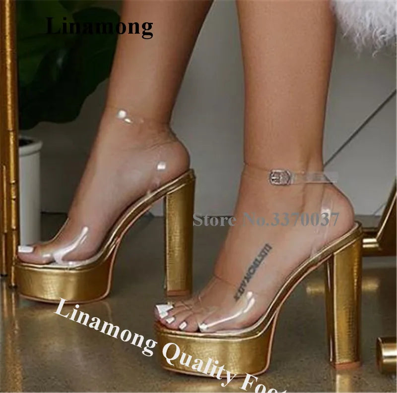 Transparent Platform Sandals With Square Heel And Adjustable Strap For Women