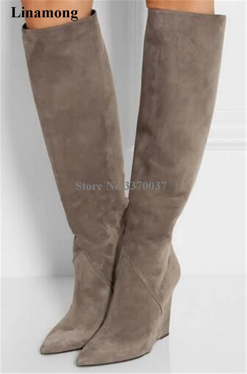 Pointed Toe Suede Winter Knee High Wedge Boots for Women
