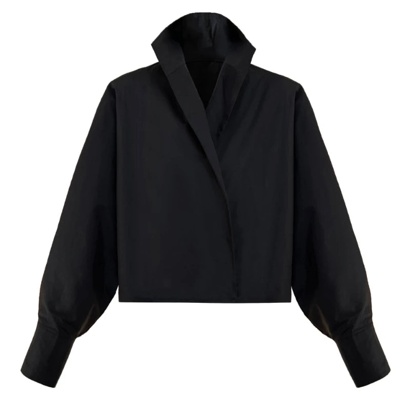 Batwing Sleeve Stand Collar Blouse