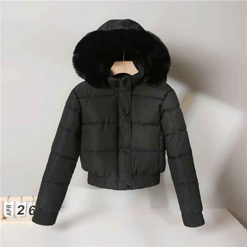 Solid Color Padded Winter Hooded Jacket