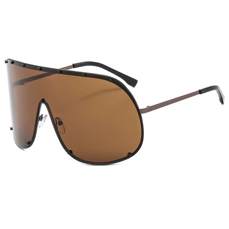 Large Frame Polarized Sunglasses