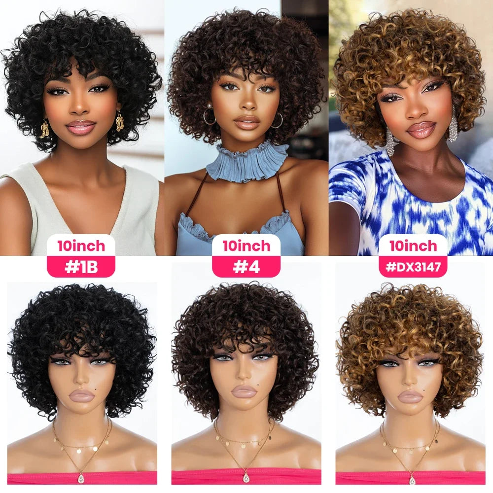 Short Kinky Curly Wig With Bangs And Mixed Highlights For Women