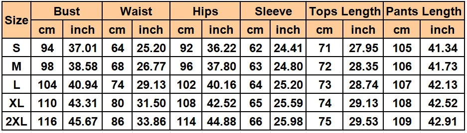 Slim Fit Long Sleeve Blazer and Pants Suit Set for Women