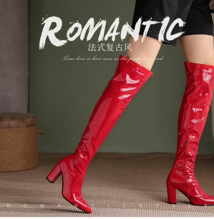 Sexy Over The Knee Boots Pointed Toe Zipper for Women