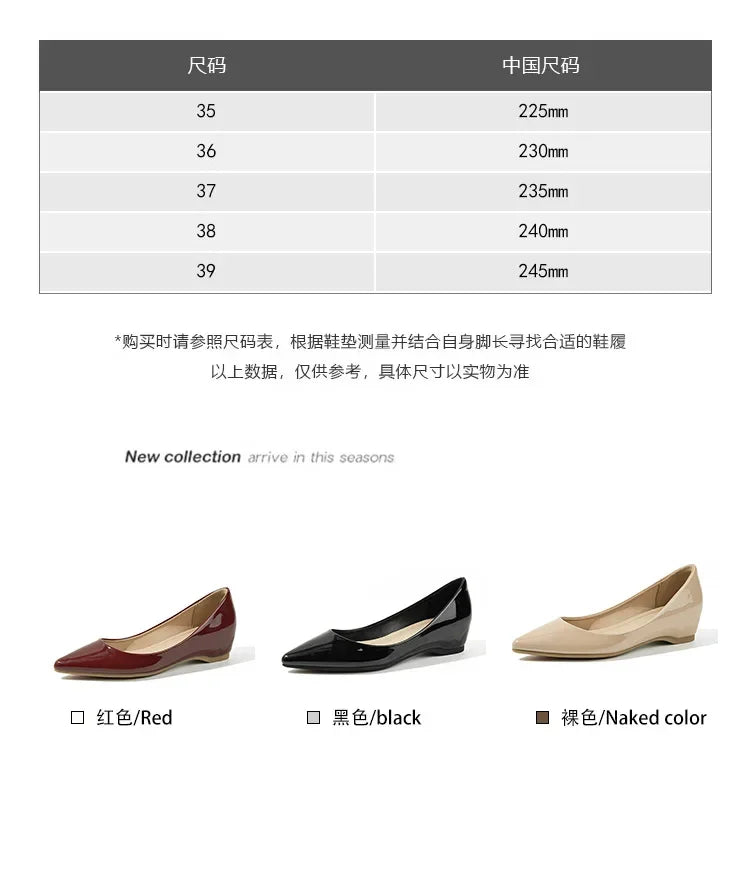 Slip On Pointed Toe Patent Flats