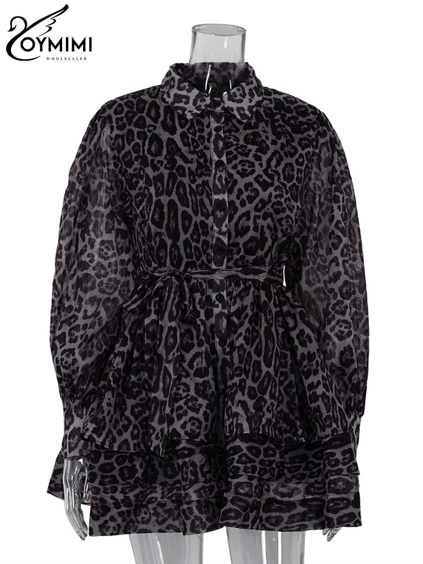 Leopard Print Lace-Up Mini Dress