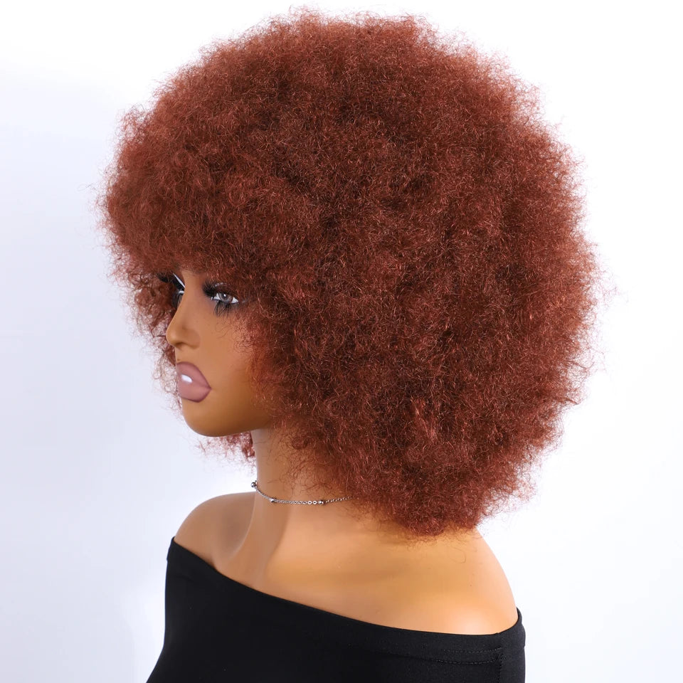 Human Hair Afro Kinky Curly Bob Wig with Glueless Cap for Women