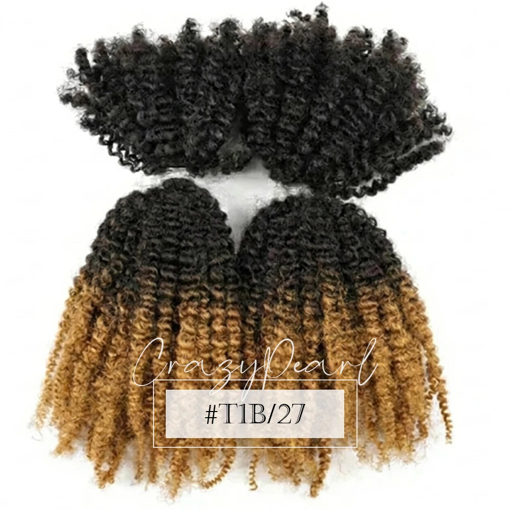 Natural Afro Kinky Curly Human Hair Extensions for Women
