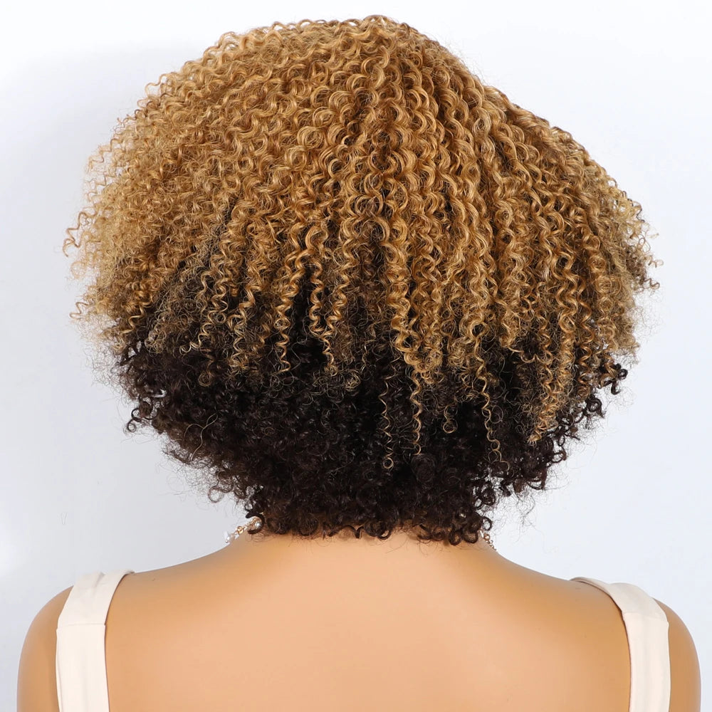Glueless Kinky Curly Human Hair Lace Bob Wig for Women