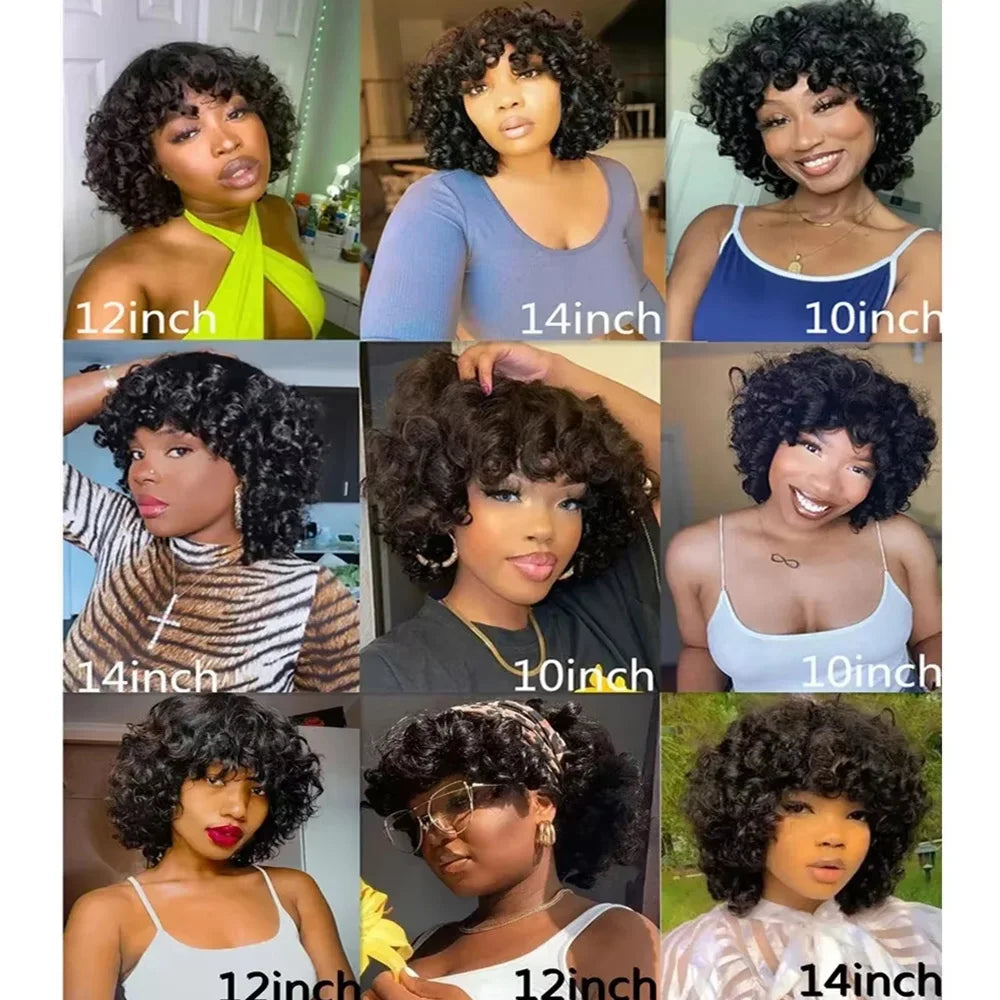 Bouncy Curly Pixie Bob Human Hair Wig With Bangs for Women