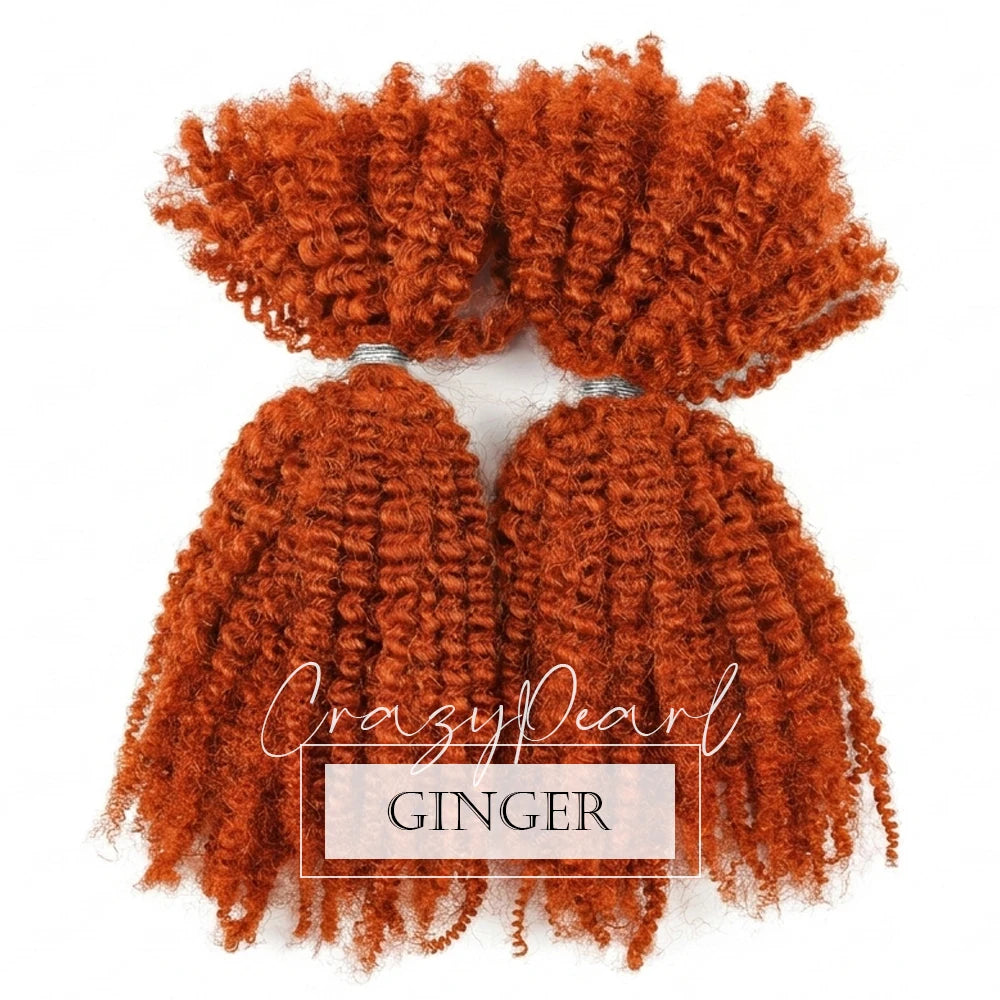Natural Afro Kinky Curly Human Hair Extensions for Women