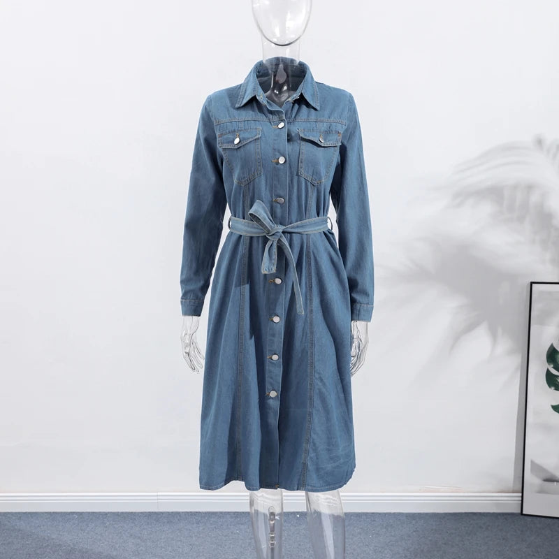 Casual A Line Single Breasted Denim Maxi Dress For Women