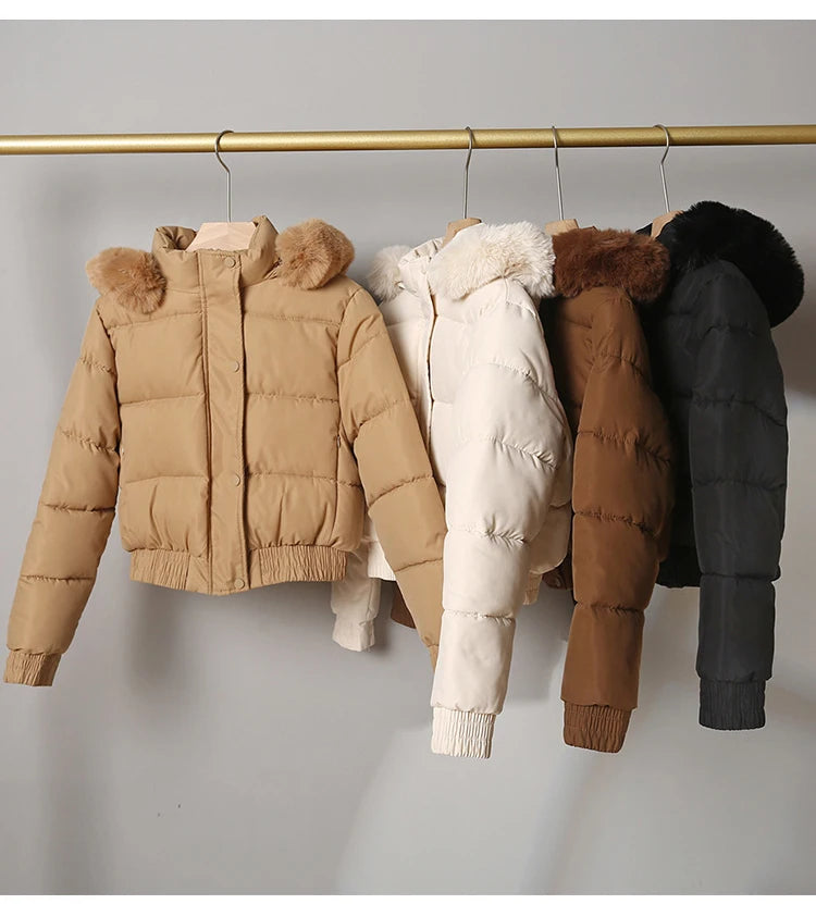 Solid Color Padded Winter Hooded Jacket