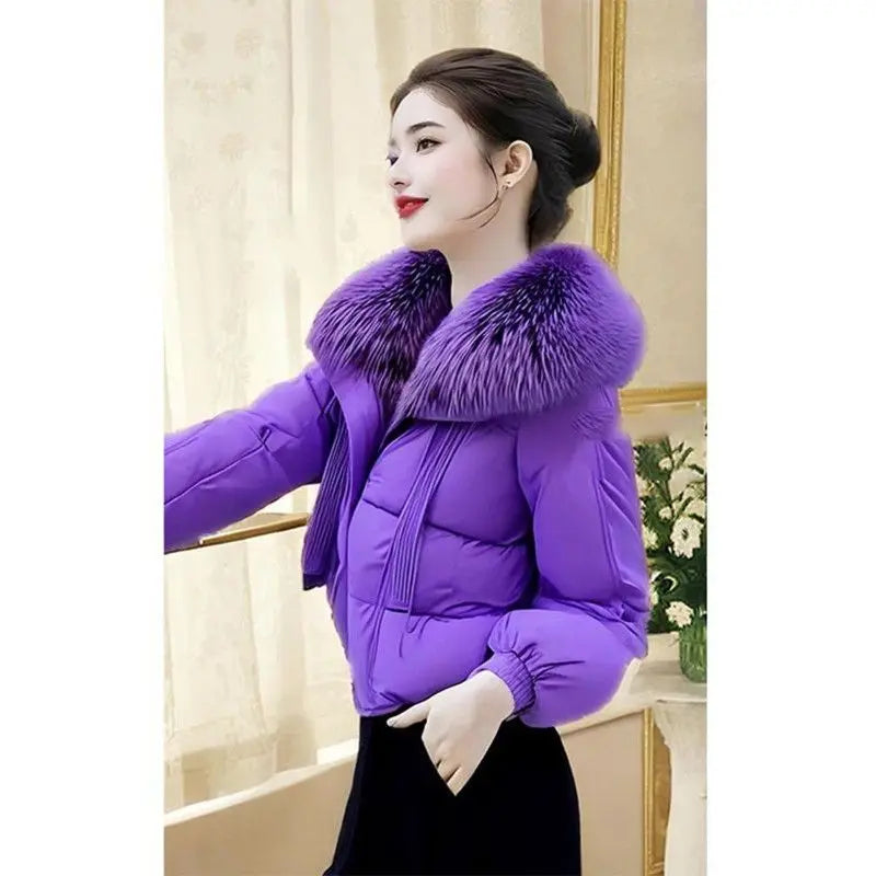 Casual Loose Fit Mao Collar Cotton Padded Coat for Women