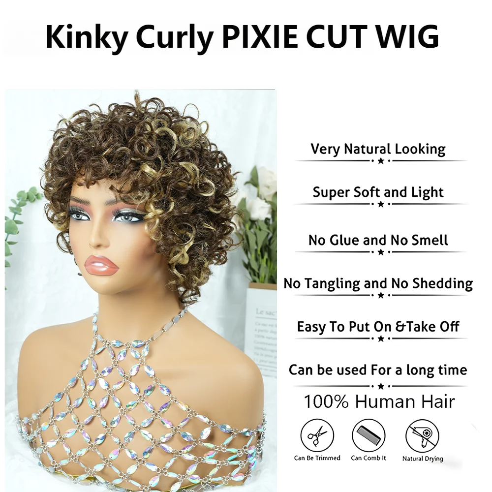 Soft Natural Curly Pixie Cut Human Hair Wig for Women