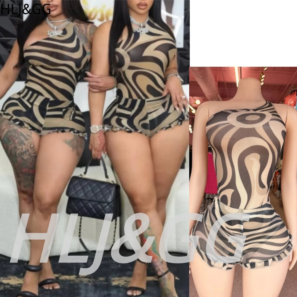 Zebra Print Mesh See Through Two Piece Set for Women
