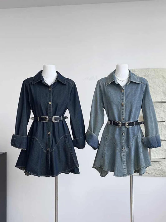 Slim Fit Denim Shirt Dress