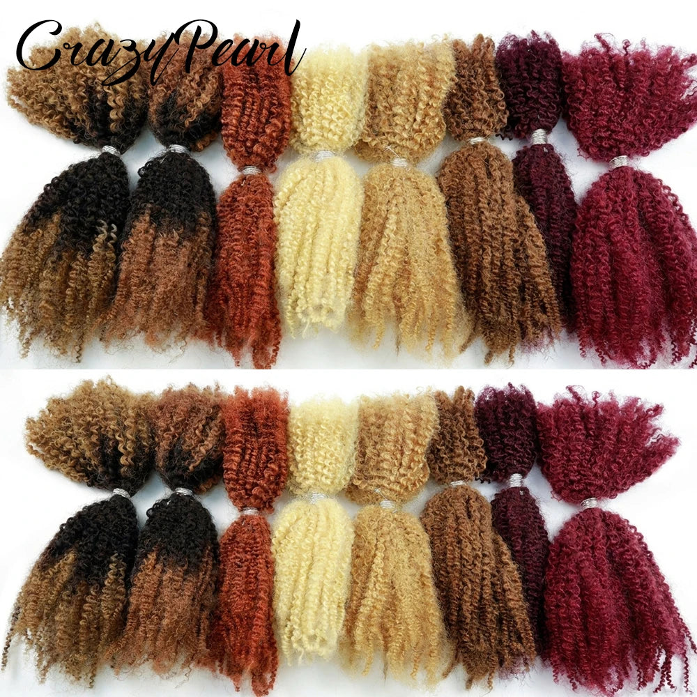 Natural Afro Kinky Curly Human Hair Extensions for Women