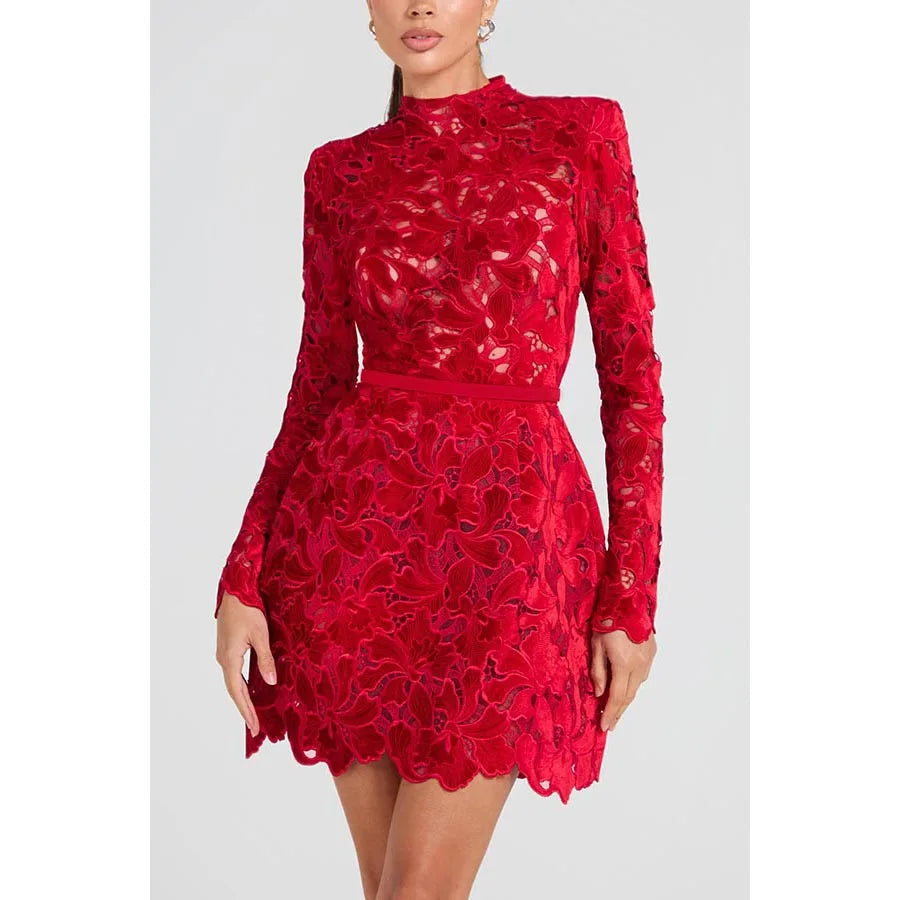 Long Sleeve Simple Elegant Mini Dress, Women Spring Autumn O Neck Sweet Party Dress, Solid Patchwork Hollow Ladies Dress