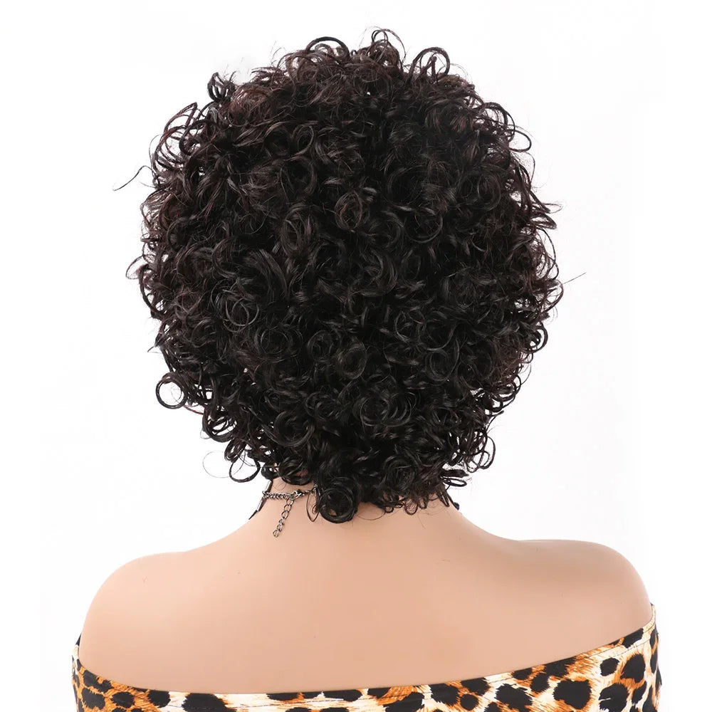 Pixie Cut Wigs Human Hair Short Curly Lace Front Human Hair Wigs For Women Water Wave Bob Wig 13x1 Transparent Lace Wigs