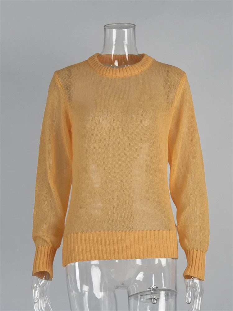 See Through Mesh Knit Sweater