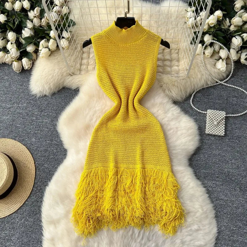 Elegant Round Neck Sleeveless Tassel Hem Bodycon Mini Knitted Dress for Women