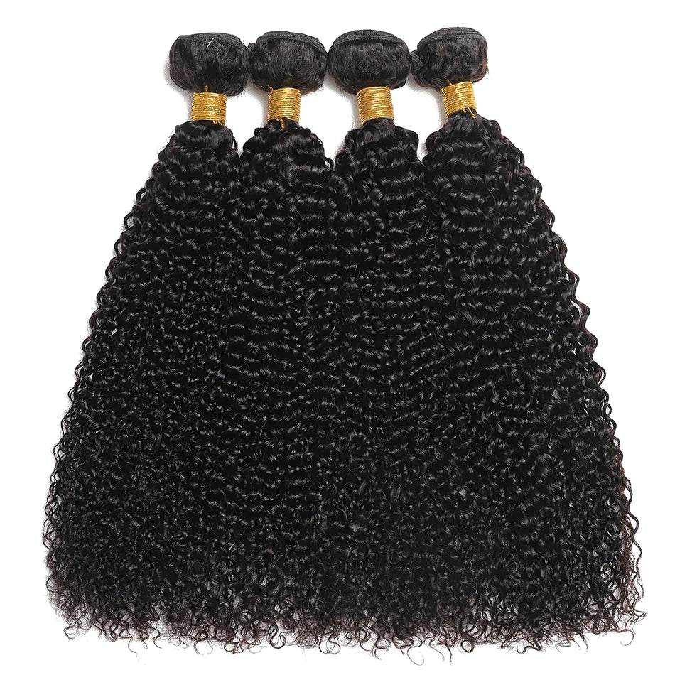 Kinky Curly Virgin Human Hair Extensions Bundles for Women
