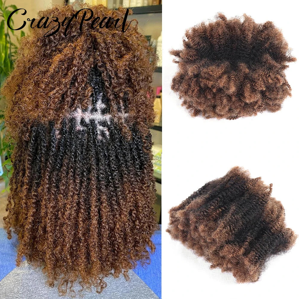 Natural Afro Kinky Curly Human Hair Extensions for Women