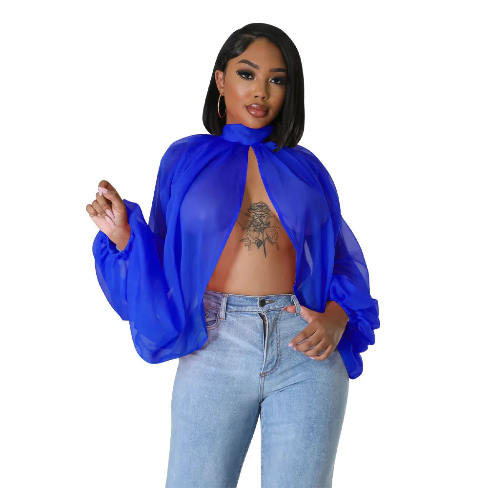 Sheer Lantern Sleeve Blouse with Tie Back for Women