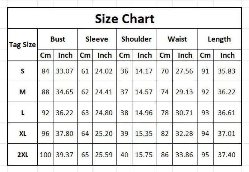 Elegant Embroidered Lantern Sleeve Midi Dress for Women
