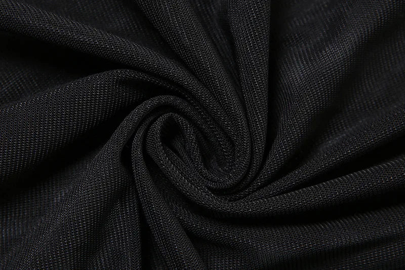 Cryptographic Long Sleeve See Through Mesh Dress Velvet Fashion Club Party Gown Black Turtleneck Vestido Bodycon Dress Clothes