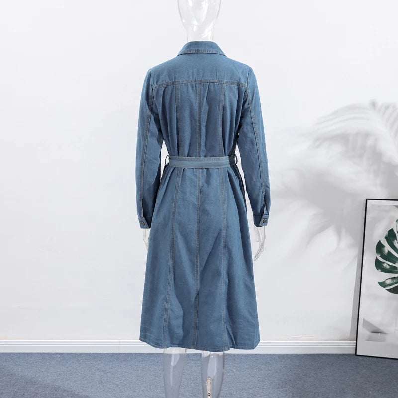 Casual A Line Single Breasted Denim Maxi Dress For Women
