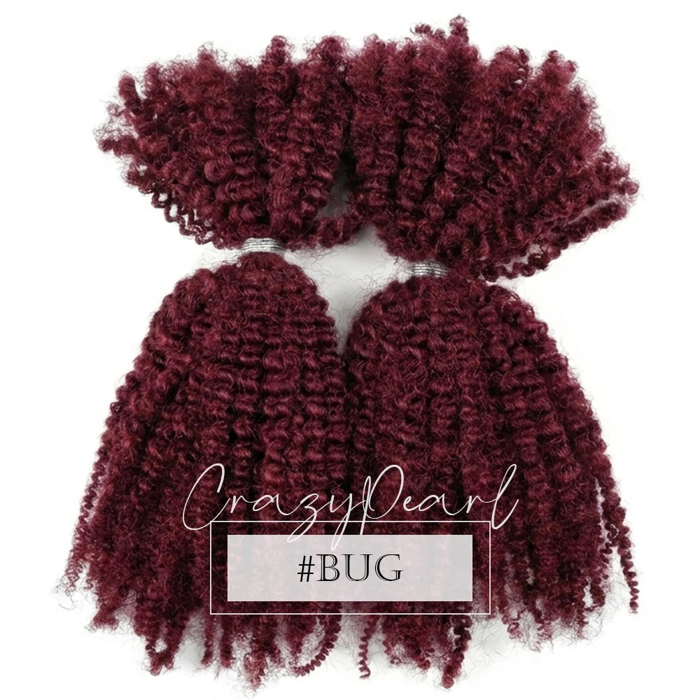 Natural Afro Kinky Curly Human Hair Extensions for Women