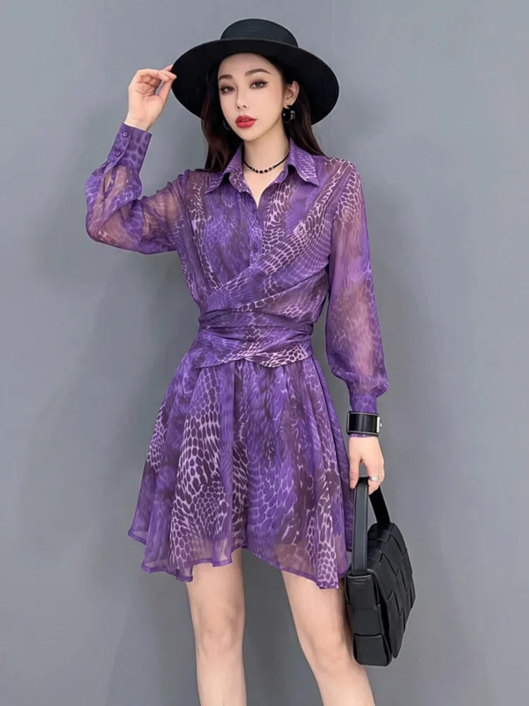 Long Sleeve Shirt And Mini Skirt Set