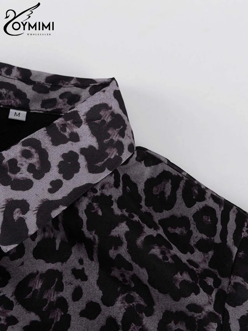 Leopard Print Lace-Up Mini Dress