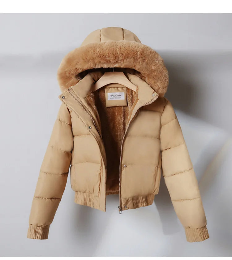 Solid Color Padded Winter Hooded Jacket