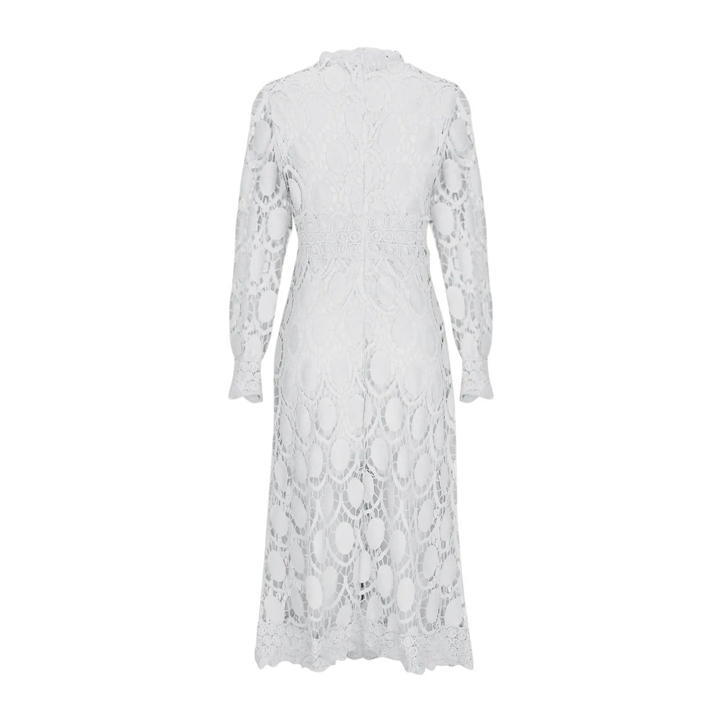 Elegant Lace with Hollow Detailing Maxi Dress for Women