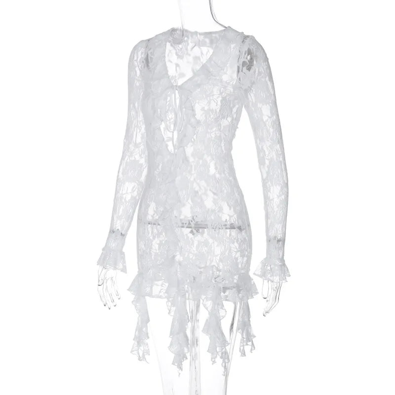 Tie Front Sheer Lace Trim Mini Dress